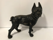 Cast Iron Boston Terrier Antique Large Hubley Original Figurine Doorstop or Fireside piece